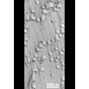 moc2_147_msss_i2.gif
