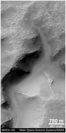 moc2_155_msss_i1.gif