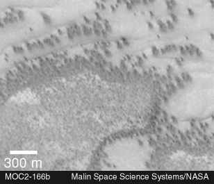 moc2_166b_msss_i1.gif