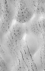 moc2_167_msss_i2.gif