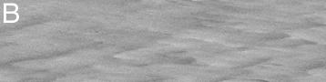 moc2_177b_msss_i1.gif