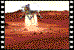 m9815p.gif