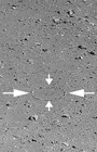 antarctica_descent_i1.gif