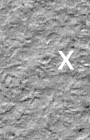moc_mplsite_icon2.gif