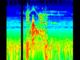 sound.gif